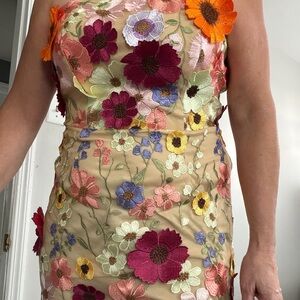Floral Mesh Dress with Multicolor Embroidery